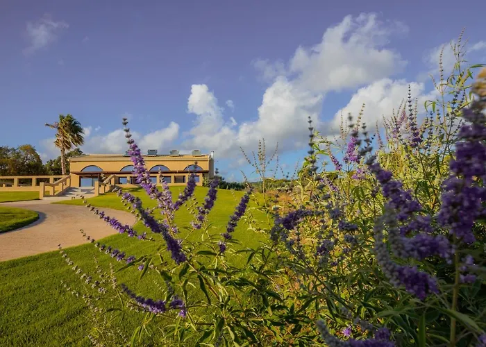 La Perla Di Barla Seafront Kánalos