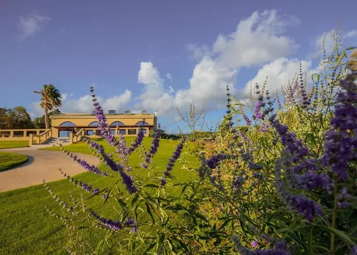 公寓 La Perla Di Barla Seafront *